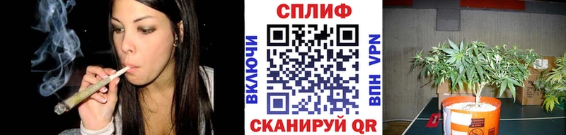 маркетплейс наркотические препараты  купить   Анжеро-Судженск  Бошки марихуана Bruce Banner 